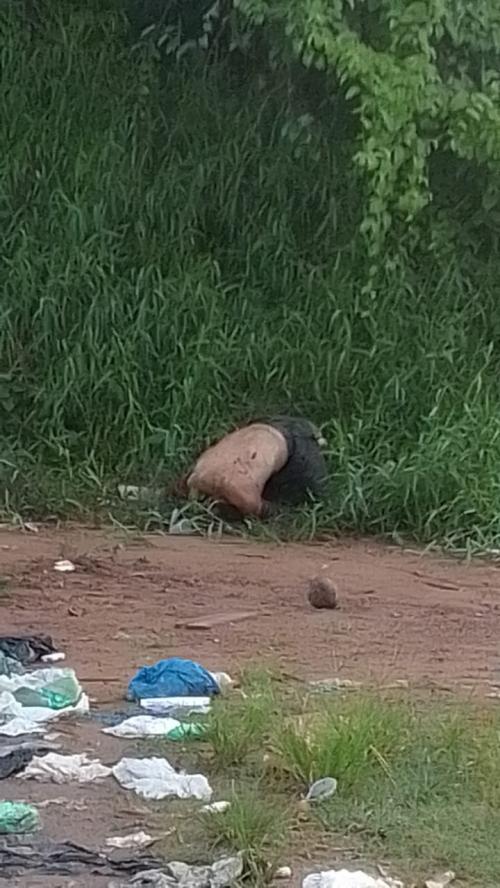 DESOVADO: Corpo de homem é encontrado sem vida no Distrito Industrial de Parintins 