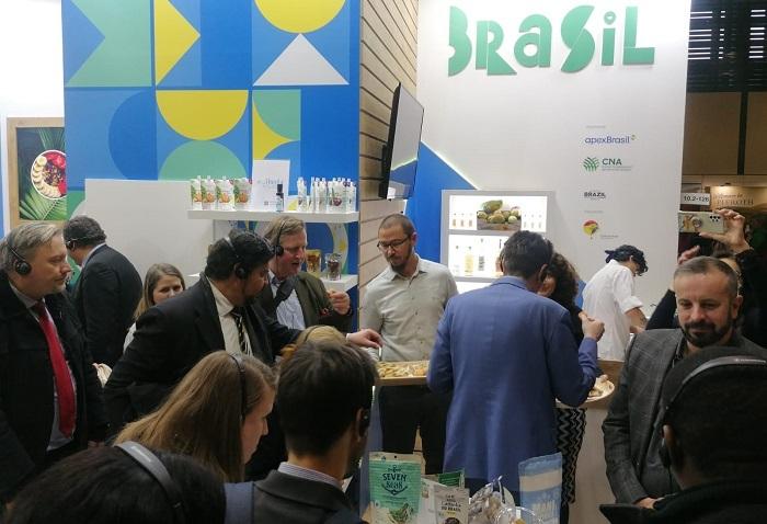 Agroindústria de castanha no Amazonas vai exportar em abril a 1ª remessa de castanha-do-brasil beneficiada para o mercado europeu  