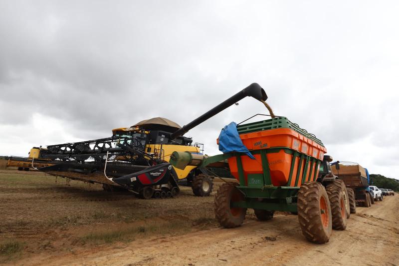 Crédito rural impulsiona produção de grãos com novas tecnologias no sul do Amazonas, aponta Sepror