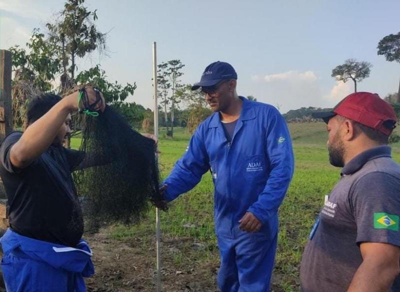 Adaf determina obrigatoriedade de vacinação contra a raiva dos herbívoros em três municípios