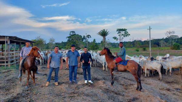 Pecuaristas do Boto participam de programa de melhoramento genético para produção de carne e de leite