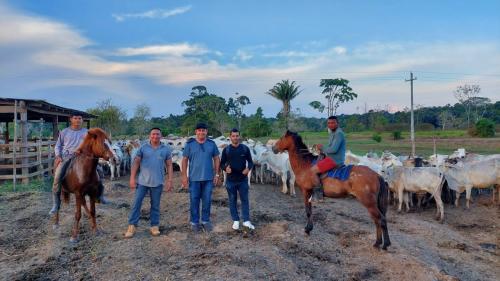Pecuaristas do Boto participam de programa de melhoramento genético para produção de carne e de leite