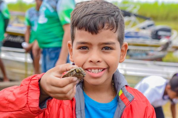 Mais 25 mil filhotes de quelônios são devolvidos à natureza em Nhamundá