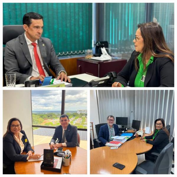 Márcia Baranda reuniu com parlamentares em Brasília
