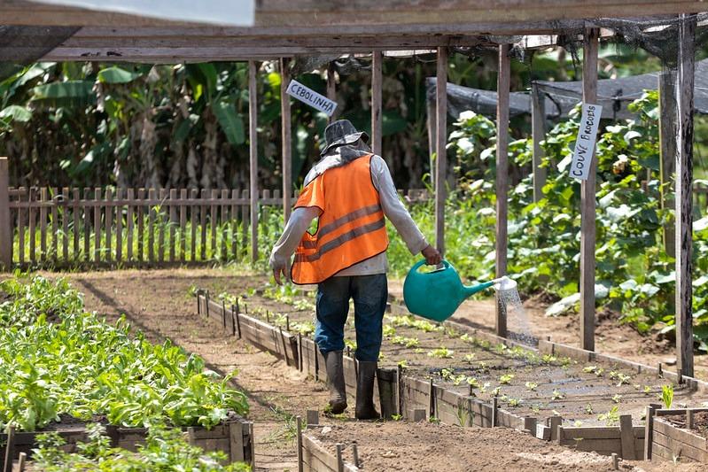 Acolhidos da Fazenda da Esperança recebem primeiros certificados do Plano de Trabalho Agrícola da ADS