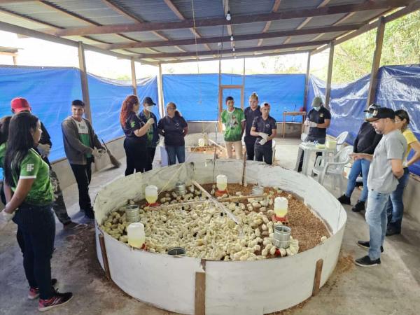 Granja Paraíso do Aninga começa a funcionar em Parintins 
