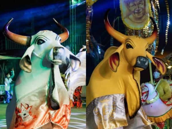 Ordem de apresentação dos bumbás Touro Branco e Espalha Emoção, Pássaros e quadrilhas definida para o Festival Folclórico do Mocambo