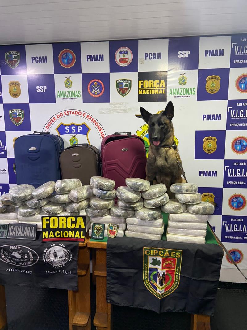 Ações da Base Arpão resultam em R$ 47,9 milhões de danos ao crime, no primeiro semestre de 2023
