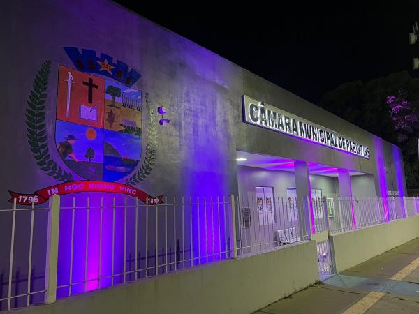 Lilás do combate à violência contra mulher ilumina a Câmara de Parintins