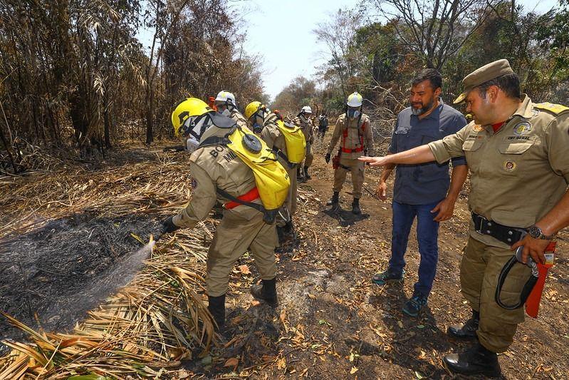 Wilson Lima apresenta balanço de ações contra queimadas, com quase 2 mil incêndios combatidos