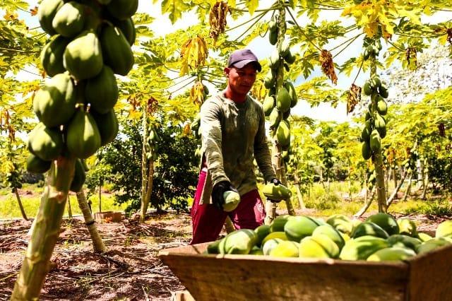 Governo do Amazonas abre segundo edital para aquisição de gêneros alimentícios da Agricultura Familiar