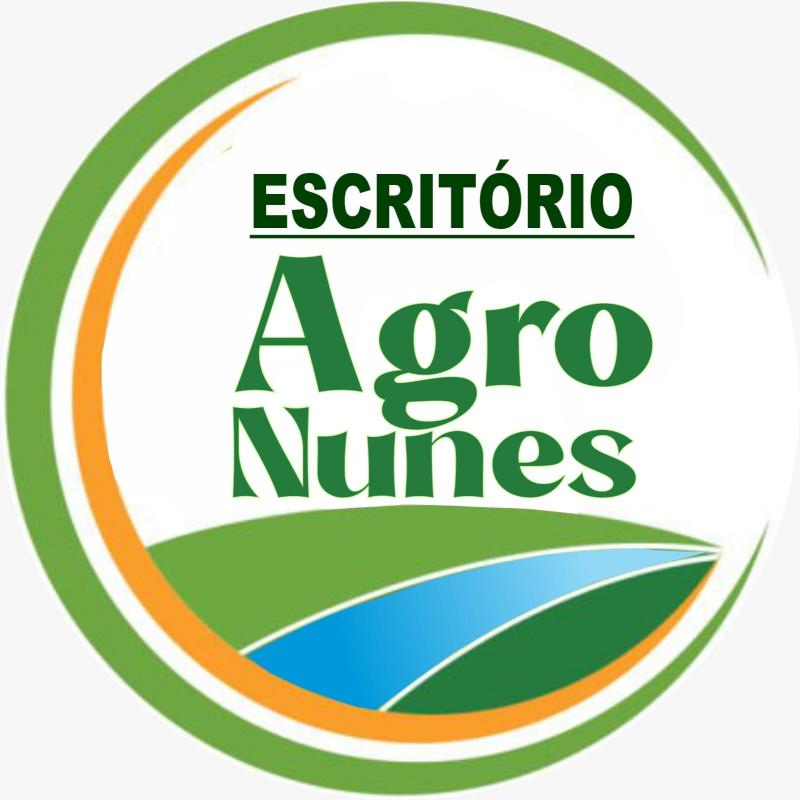 Bancos oferecem linhas de créditos e escritório AgroNunes orienta pecuaristas e agricultores