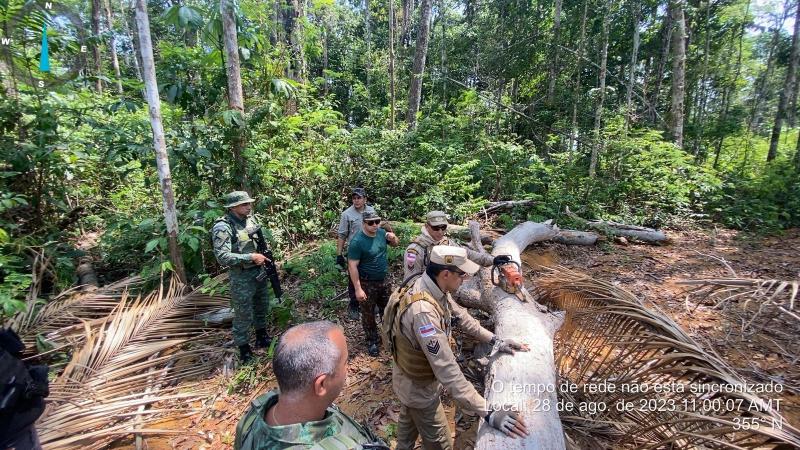 Medidas repressivas do Governo do Amazonas no combate a crimes ambientais resultam em ações de embargos, multas e infrações