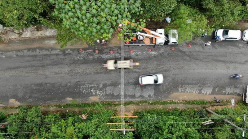 Amazonas Energia entrega mais duas passarelas para sauins-de-coleira