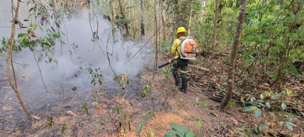 IBAMA combate incêndios em Parintins/Amazonas