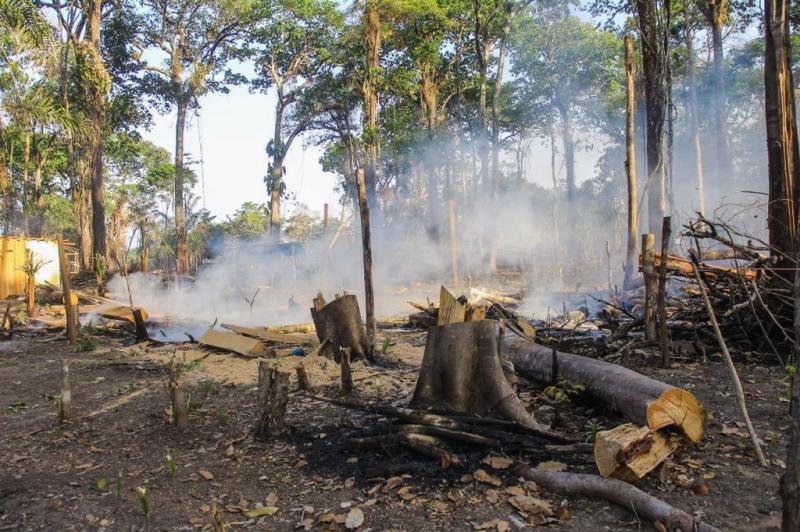 Sedema e Brigadistas tem trabalho intenso no combate aos incêndios urbanos e rurais, mas apelam para a consciência da população