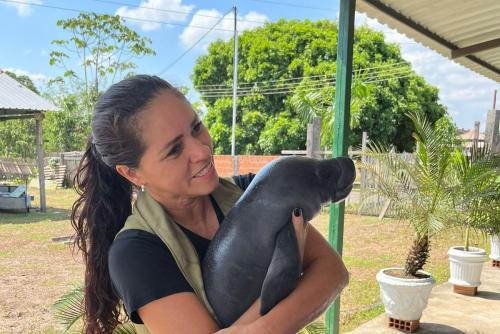 Peixe-boi recém-nascido resgatado por pescadores em Parintins 