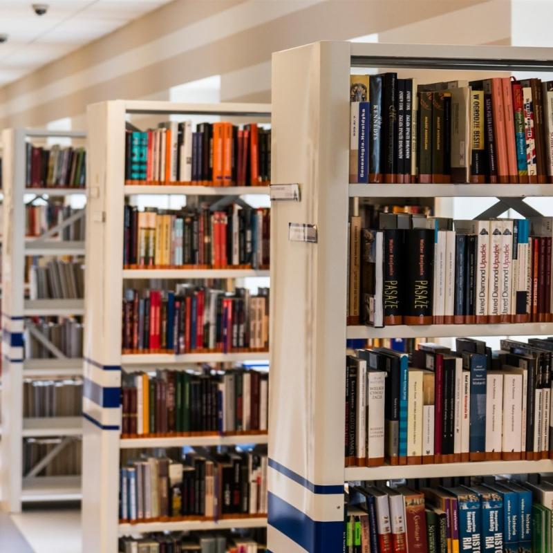 Projeto do ICSEZ arrecada livros para construção de biblioteca comunitária infanto juvenil