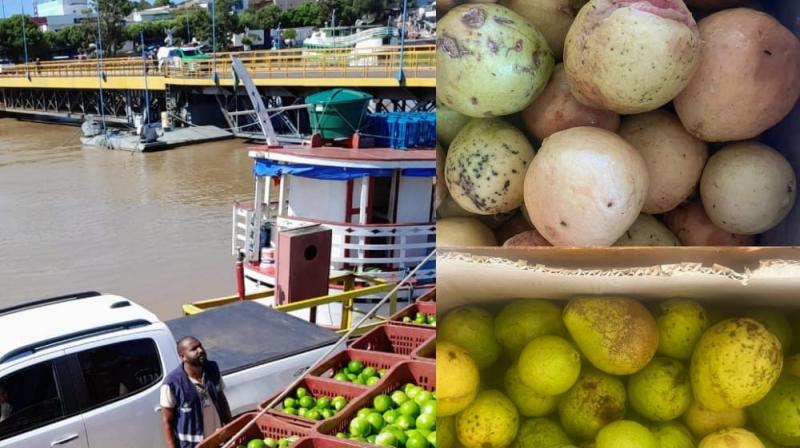 Adaf apreende 6 toneladas carregamento irregular de frutas no Porto de Parintins
