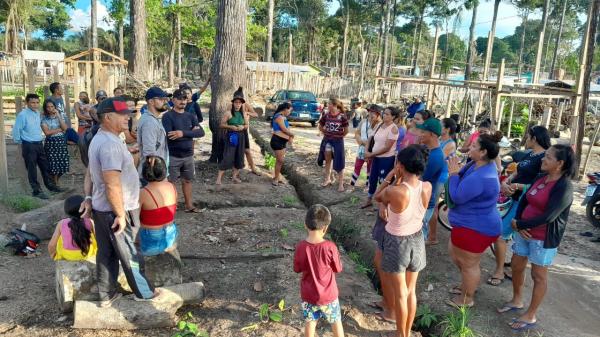 Castanheiras na Ocupação Teixeirão serão inventariadas e em caso de corte os ocupantes dos lotes vão pagar multa