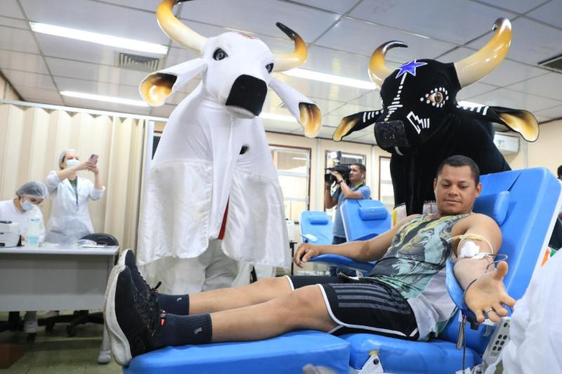 Com bois Caprichoso e Garantido, Hemoam lança 'Junho Azul e Vermelho' para incentivar a doação de sangue