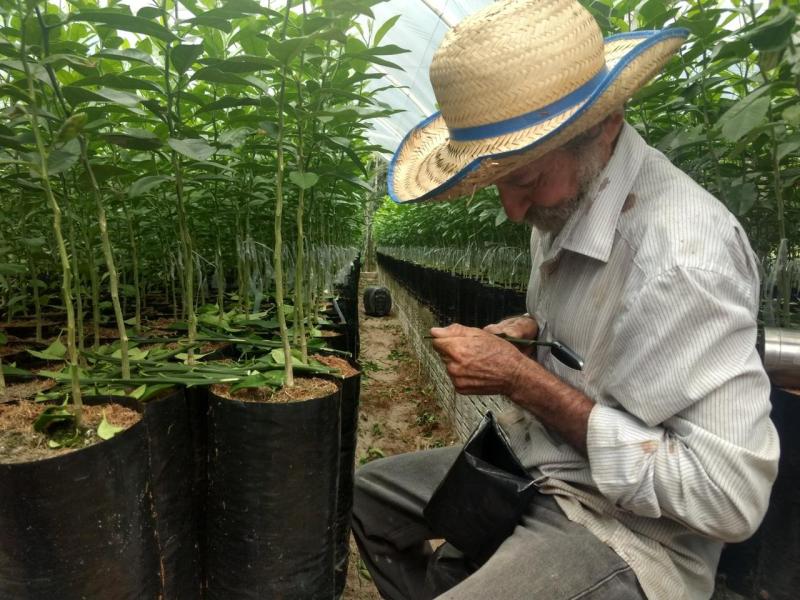 Inscrições de agricultores familiares no programa Garantia Safra 2023/2024 vão até 19 de junho