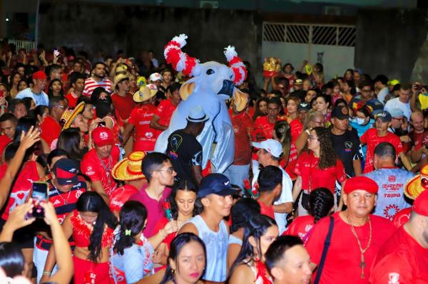 Garantido lota ruas de Parintins para festejar os namorados e celebrar Santo Antônio Garantido lota ruas de Parintins para festejar os namorados e celebrar Santo Antônio