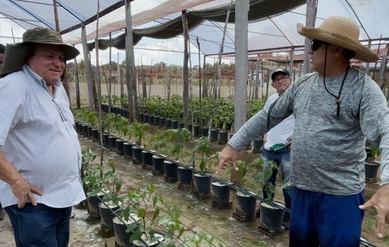 Idam promove medidas para minimizar efeitos da estiagem em sistemas protegidos