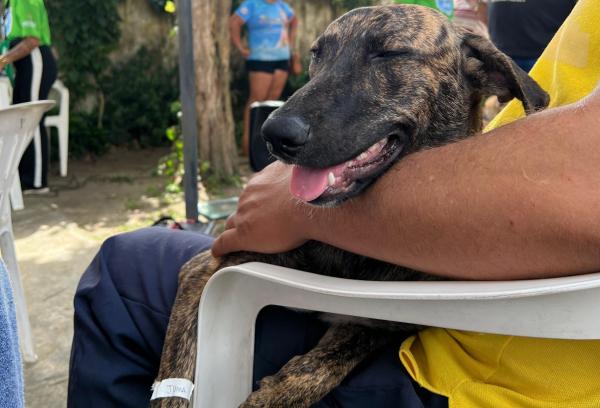 Vereador Alex Garcia propõe inclusão da Semana de Castração de animais no calendário oficial de Parintins