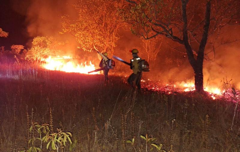 Insônias na Amazônia