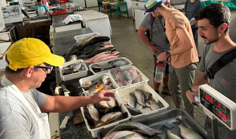 Equipe de pesquisadores da UEA indica contaminação por mercúrio em peixes do rio Madeira, no Amazonas