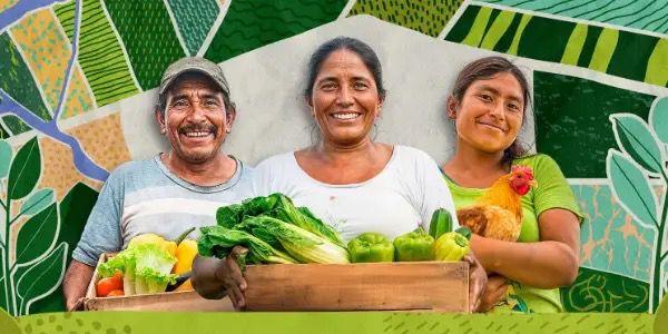 Secretaria de Produção Rural de Parintins integra Projeto Floresta + Amazônia