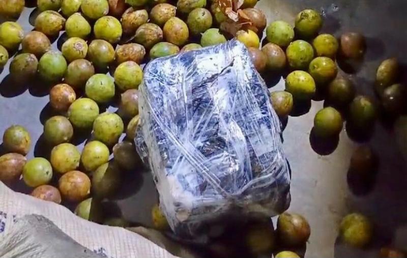 Base Arpão 1: PMAM encontra maconha escondida em sacas de tucumã