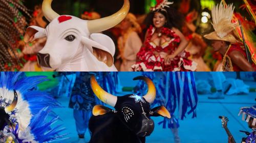 Natura estreia patrocínio ao Festival de Parintins e reforça compromisso com a cultura amazônica