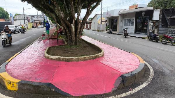 Pinturas das Praças e Meios-Fios de Parintins são concluídas para Carnailha