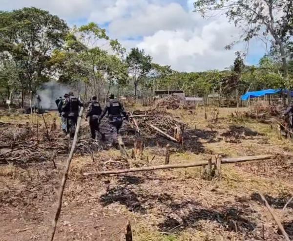 Dona de terreno denuncia ameaças e devastação ambiental após invasão em Parintins