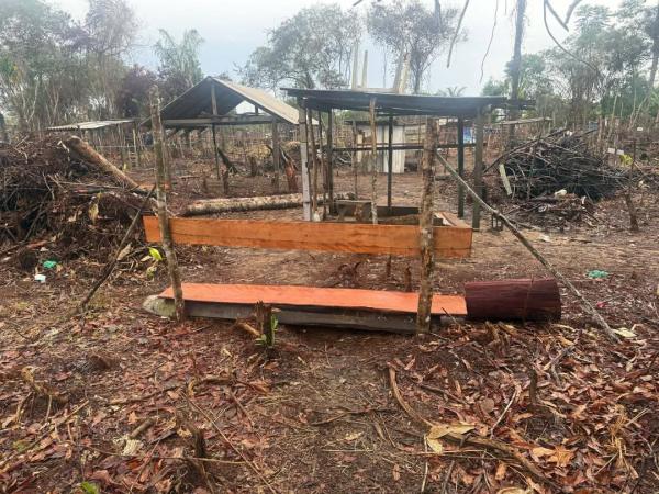 Polícia Militar prende cinco homens por desmatamento e queimadas em áreas de invasão em Parintins 