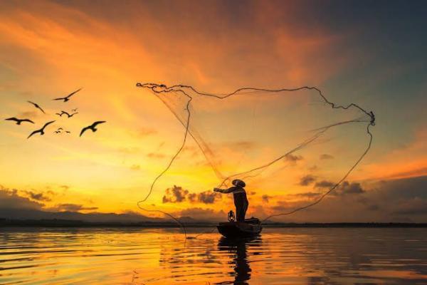 Vereadora Márcia Baranda cria Lei Nº 952/2024 e Parintins ganha a Semana da Pescadora e do Pescador