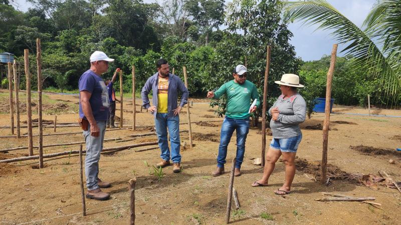 Secretaria de Produção Rural da Prefeitura de Parintins apoia produção inovadora de melancia na Colônia Flor de Maio Secretaria de Produção Rural da Prefeitura de Parintins apoia produção inovadora de melancia na Colônia Flor de Maio