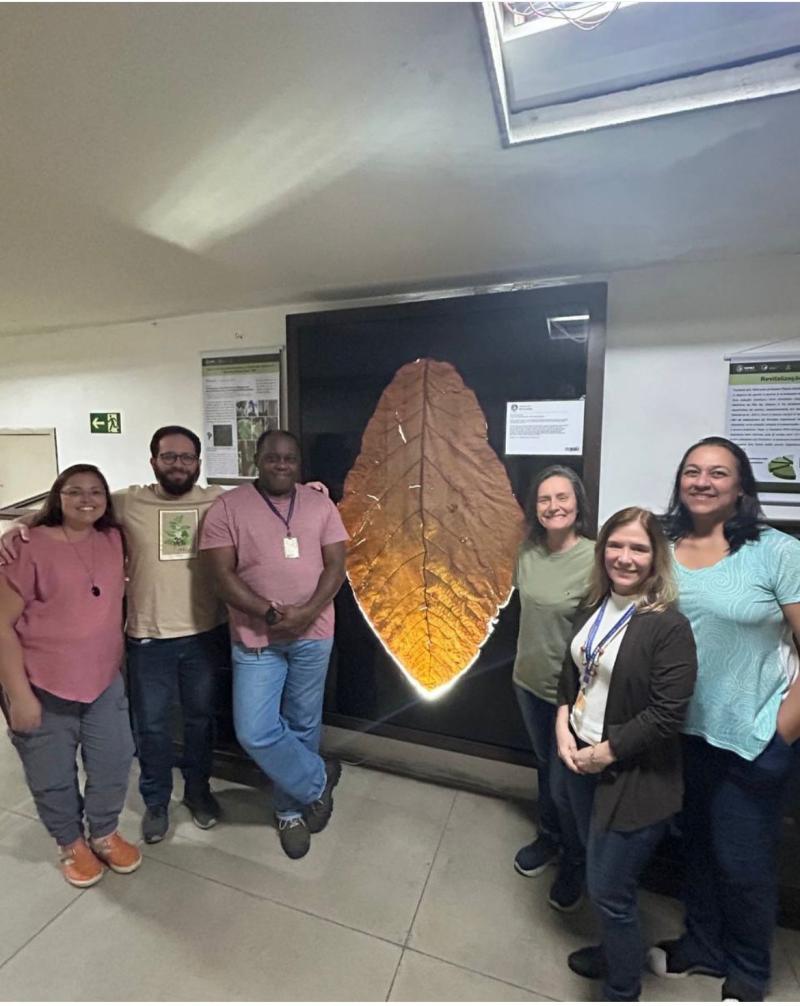 Botânico parintinense Carlos Cid ganhou homenagem com a folha Coccoloba no Museu do Amanhã e na Universidade Federal do Rio de Janeiro