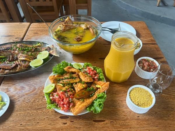 Geração de Renda: Projeto de lei da Vereadora Márcia Baranda visa oficializar Festival Gastronômico em Parintins