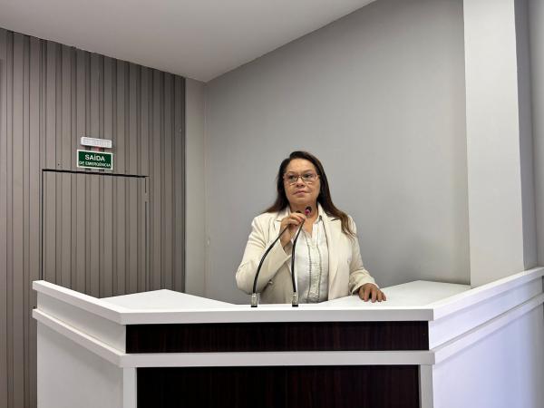 Vereadora Márcia Baranda solicita manutenção urgente na ponte da Comunidade de Santa Terezinha