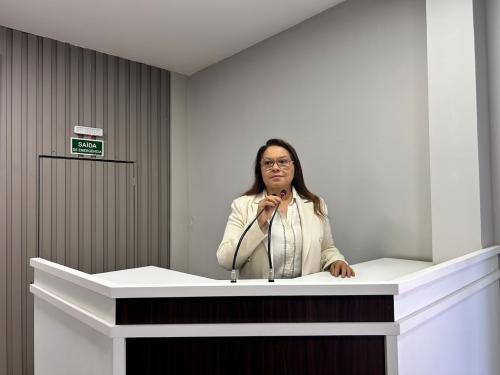Vereadora Márcia Baranda solicita manutenção urgente na ponte da Comunidade de Santa Terezinha