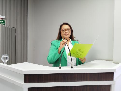 Em defesa da mobilidade: Vereadora Márcia Baranda solicita operação tapa-buracos em Parintins