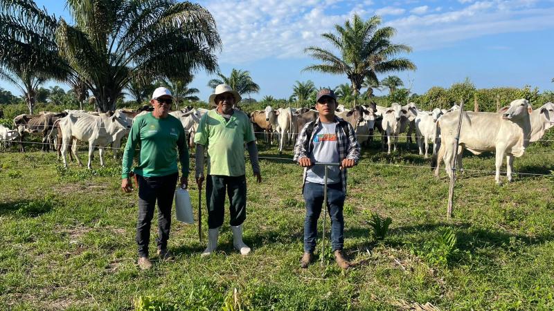 Prefeitura de Parintins mapeia mais de 400 hectares de áreas para mecanização agrícola no Mocambo e no Caburi