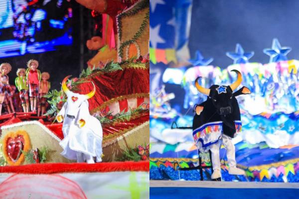 23º Festival dos Bois-Bumbás em Miniatura entra para a história com título de Patrimônio Cultural do Brasil