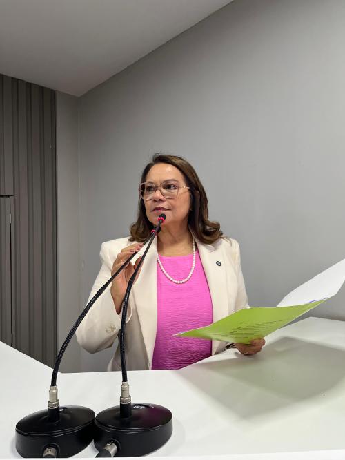 Educação: Márcia Baranda solicita criação do Programa de Reforço Escolar para alunos da rede municipal de Parintins