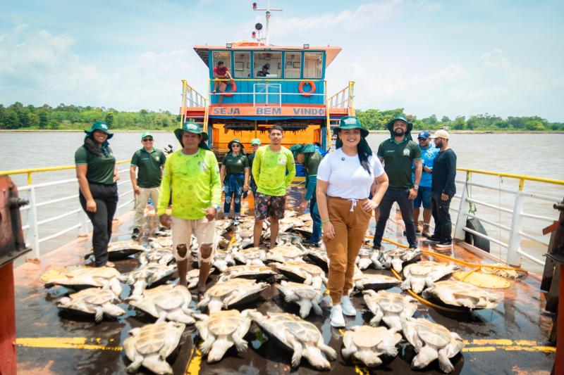Operação conjunta da Prefeitura de Parintins, IFAM e UFAM devolve tartarugas resgatadas ao habitat natural
