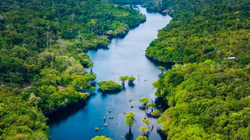 Amazonas registra menor número de focos de calor para setembro desde 2002, aponta Inpe