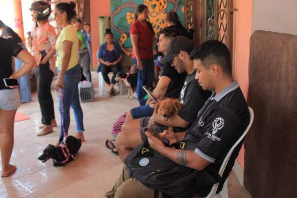 Em parceria com a Associação Patinhas Unidas, Prefeitura de Parintins inicia nova etapa do Mutirão de Castração Animal